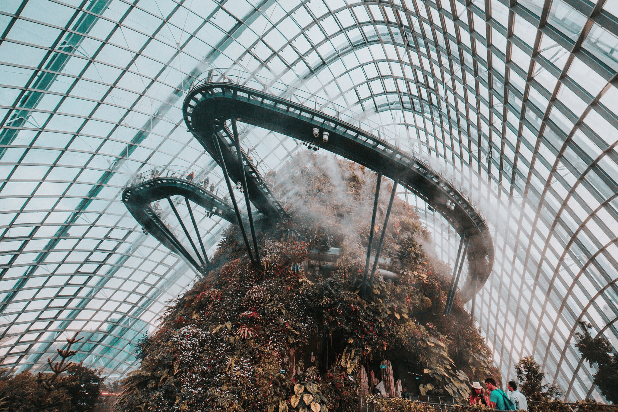 An image of the Sustainable Marketplace (GreenRibbon) project.